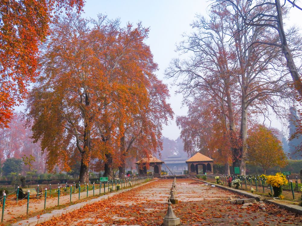 Photograph by Susmita Paul