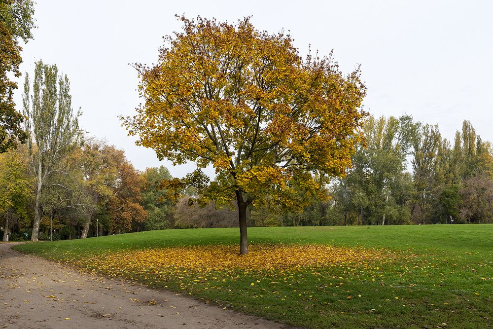 Photograph by Youssef Sabry