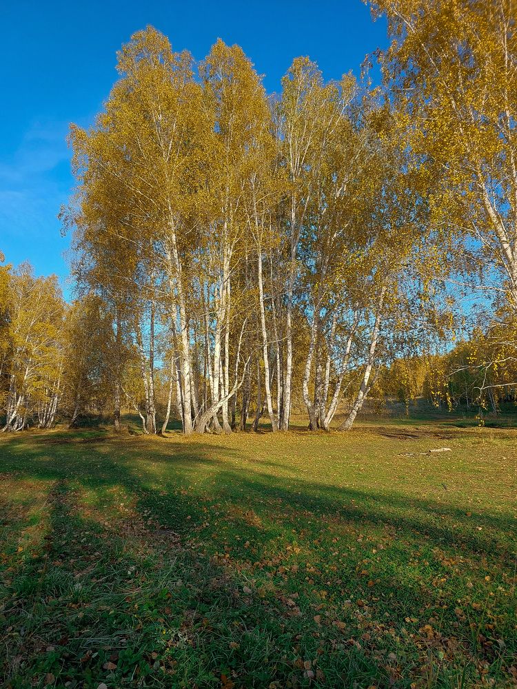 Photograph by Кристина Сысоева