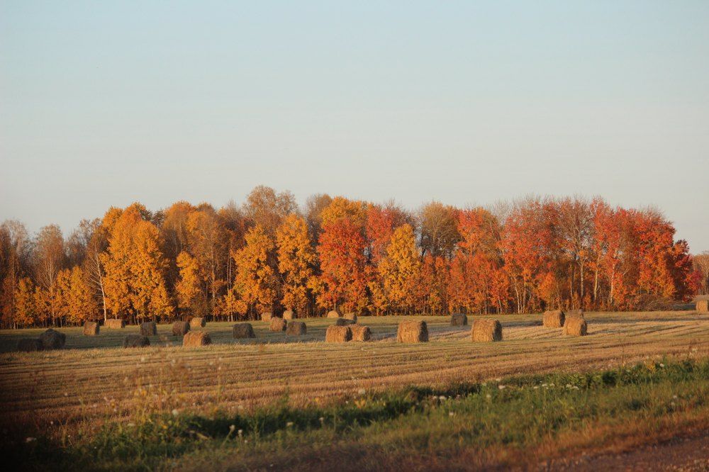 Photograph by Абрам Петерс