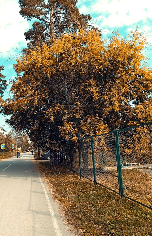 Photograph by Jaroslav Rudakov