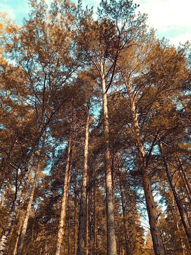 Photograph by Jaroslav Rudakov