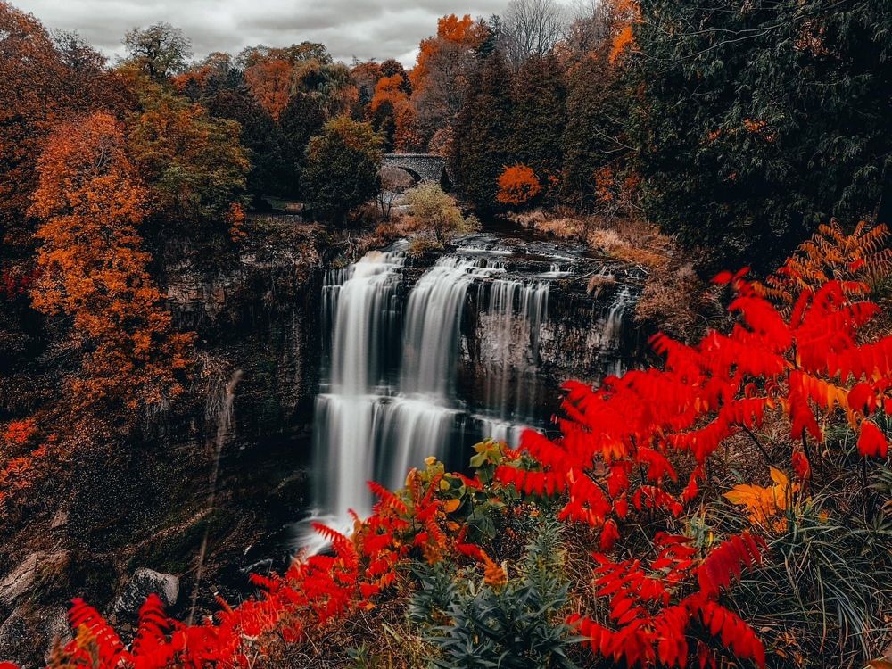 Photograph by Anton Minakov