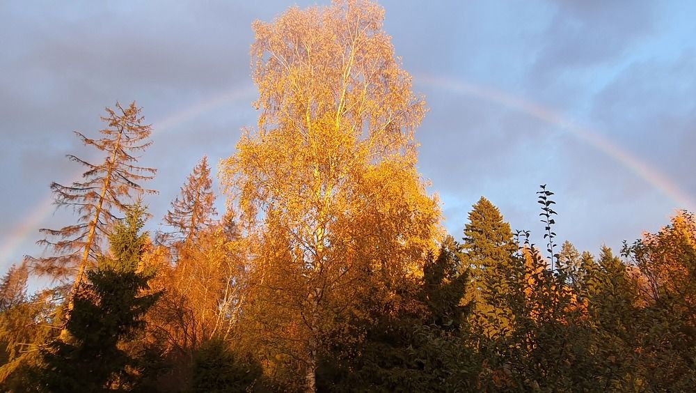 Photograph by Виктория Образцова