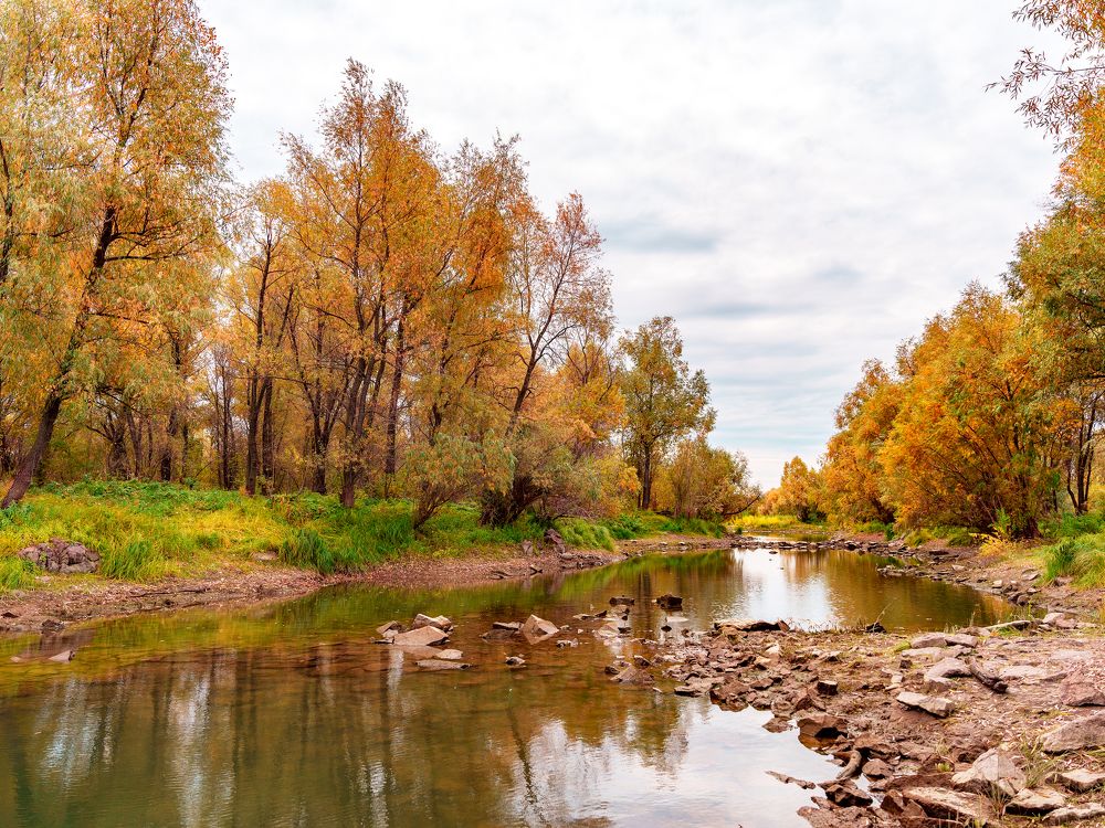 Photograph by Дмитрий Поварков