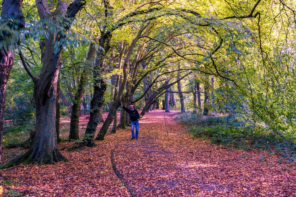 Фотография автора OVIDIU-IOAN TICU