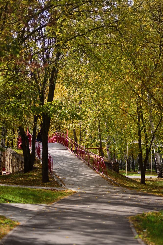 Photograph by Ирина Ященко