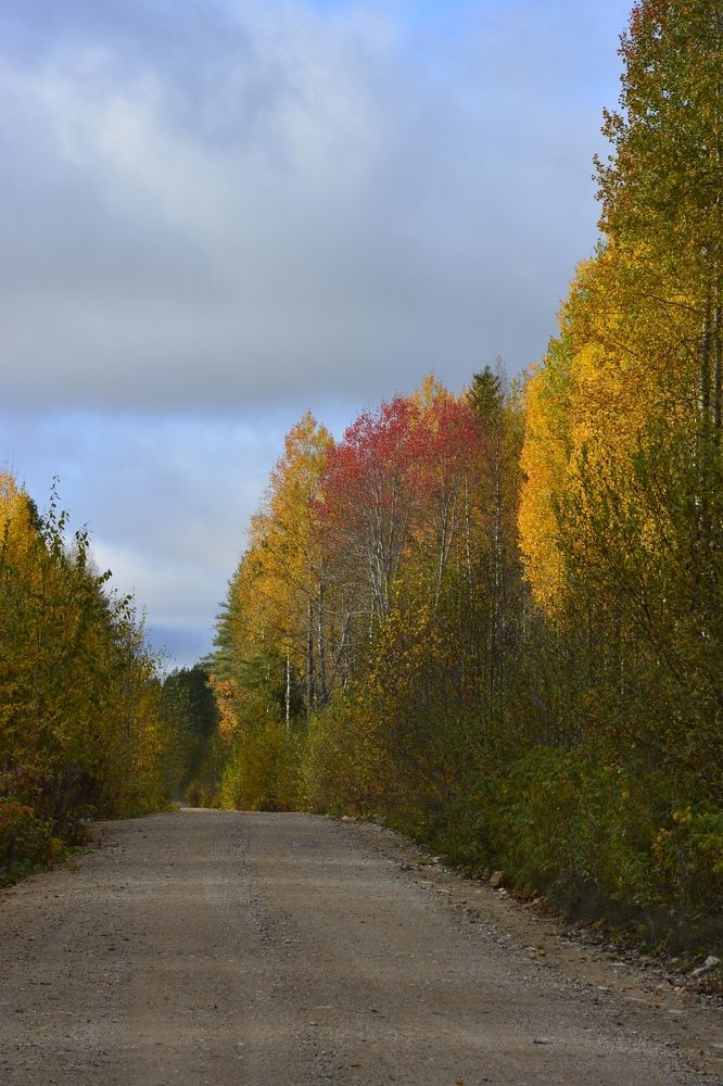 Photograph by Галина Катанова