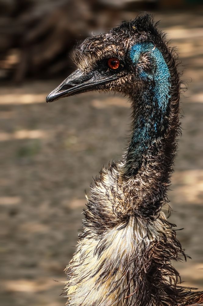 Фотография автора Ekaterina Frolova