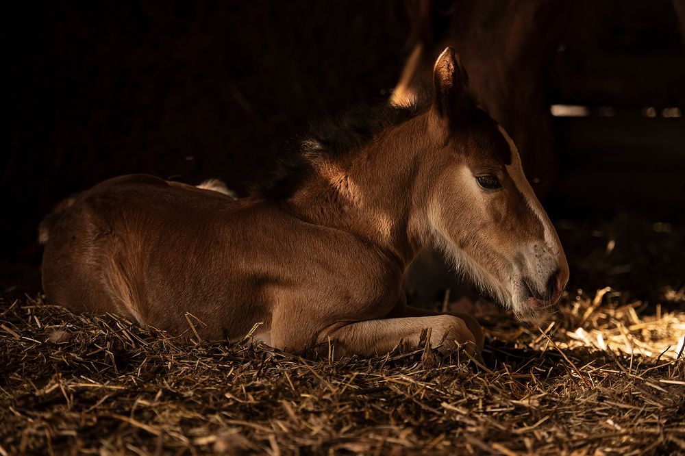 Фотография автора Наталья Шишова