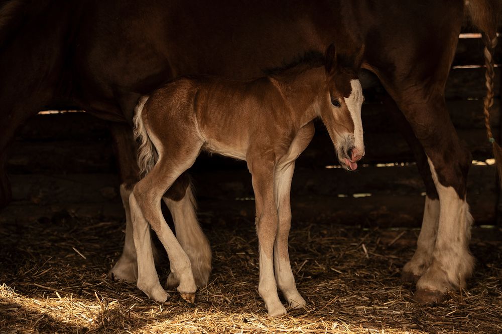 Фотография автора Наталья Шишова