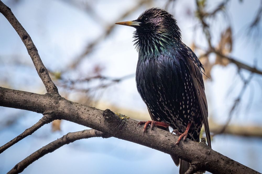 Фотография автора Бычков Валерий