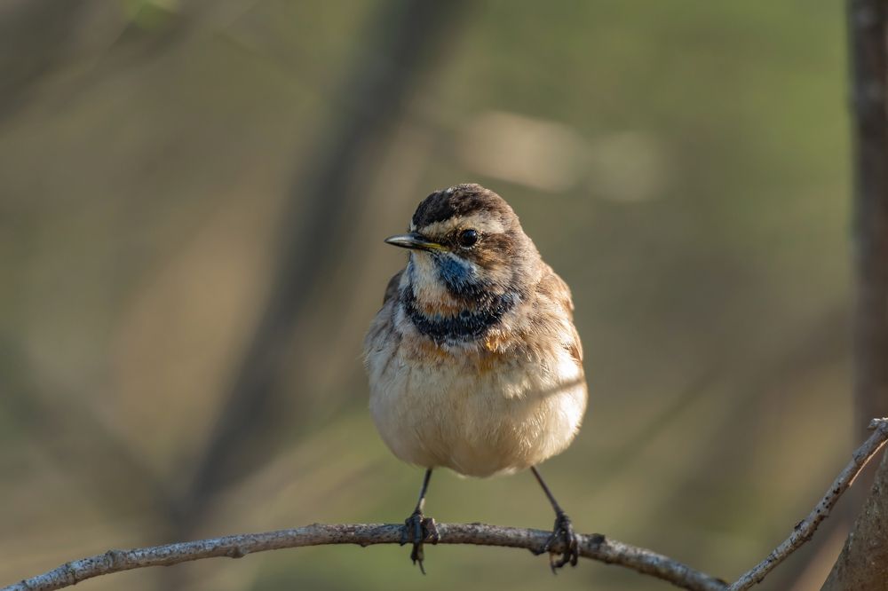 Photograph by Алексей