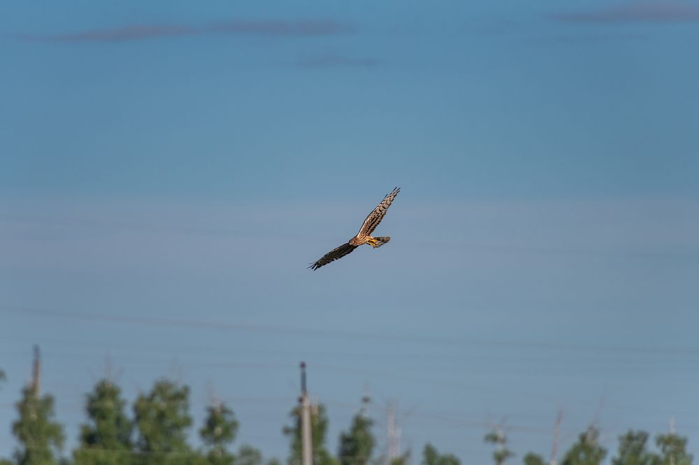 Photograph by Алексей