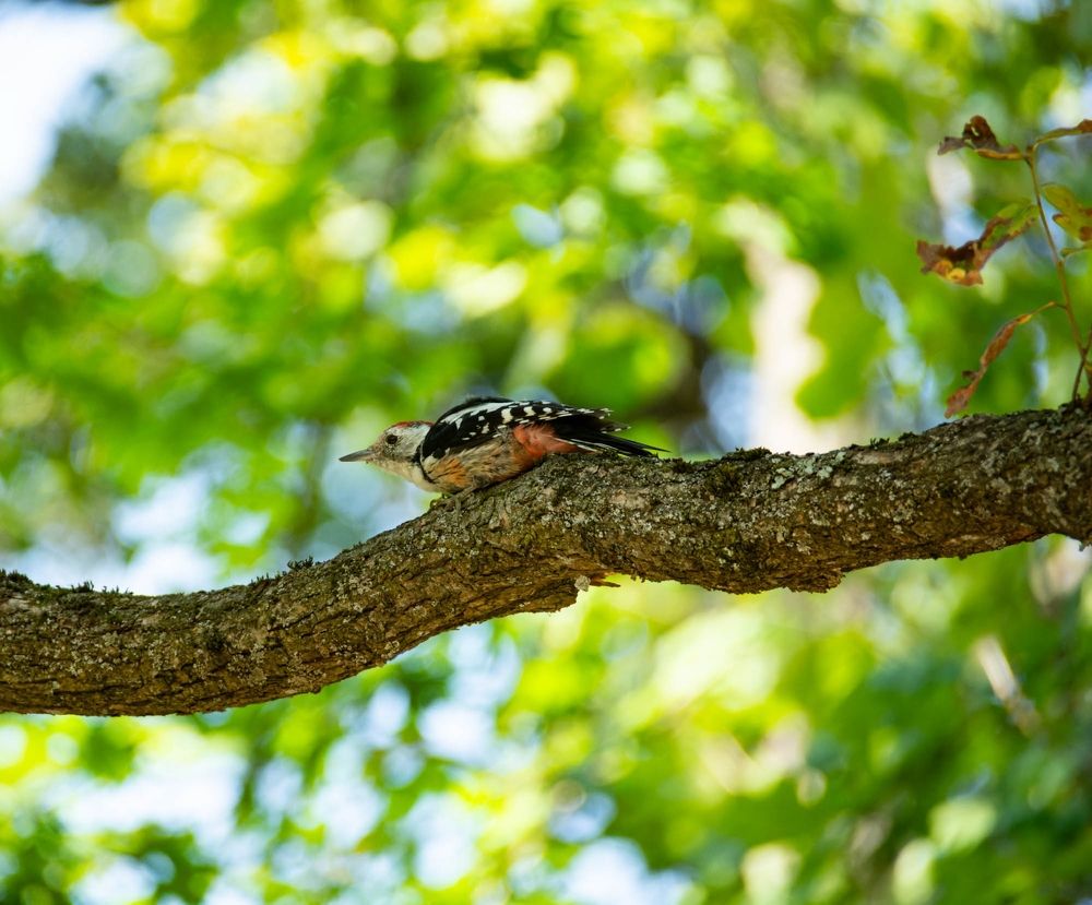 Фотография автора Виктория Зеленкова
