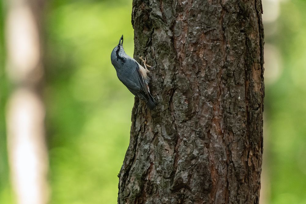 Photograph by Алексей