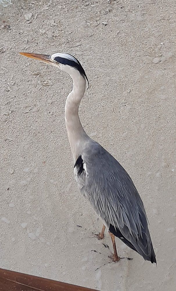 Photograph by Оксана Ермакова