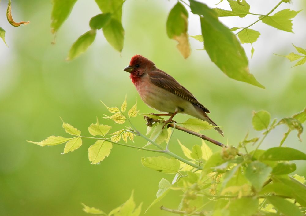 Photograph by Татьяна Калугина