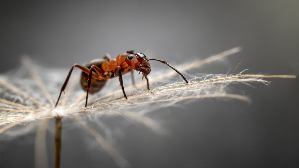 Photograph by Людмила Железнова