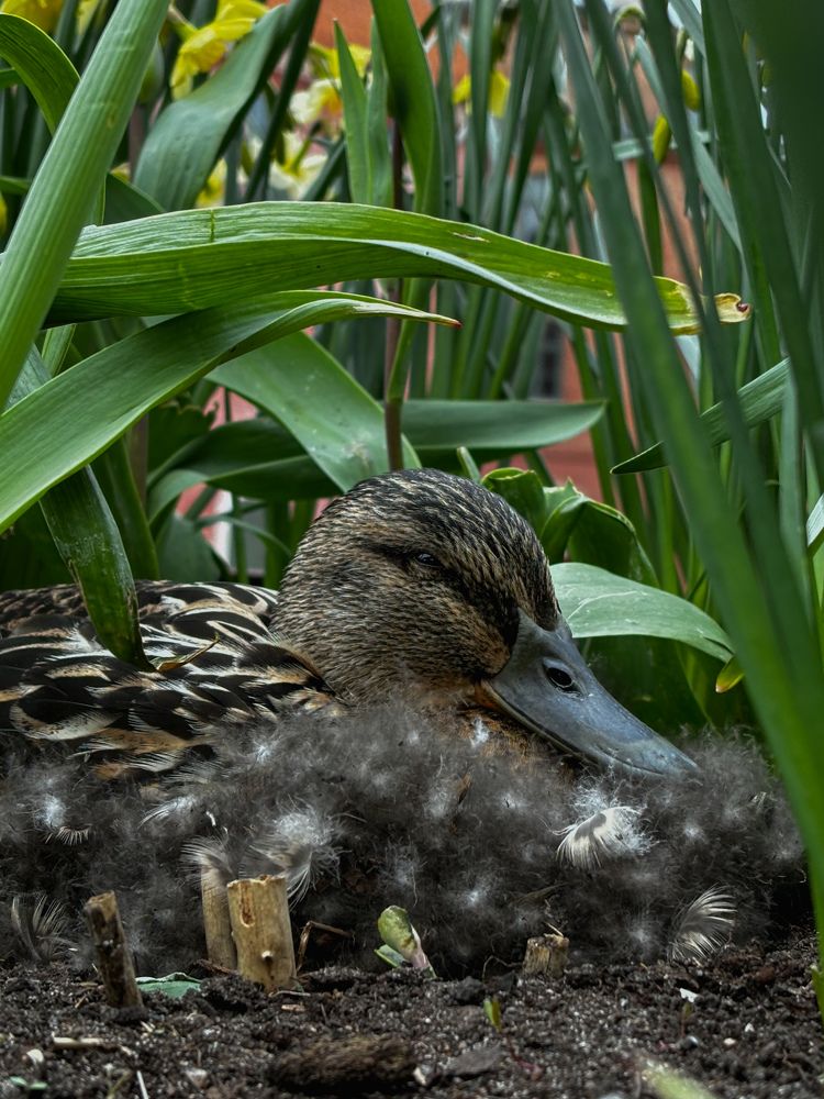 Photograph by Елизавета