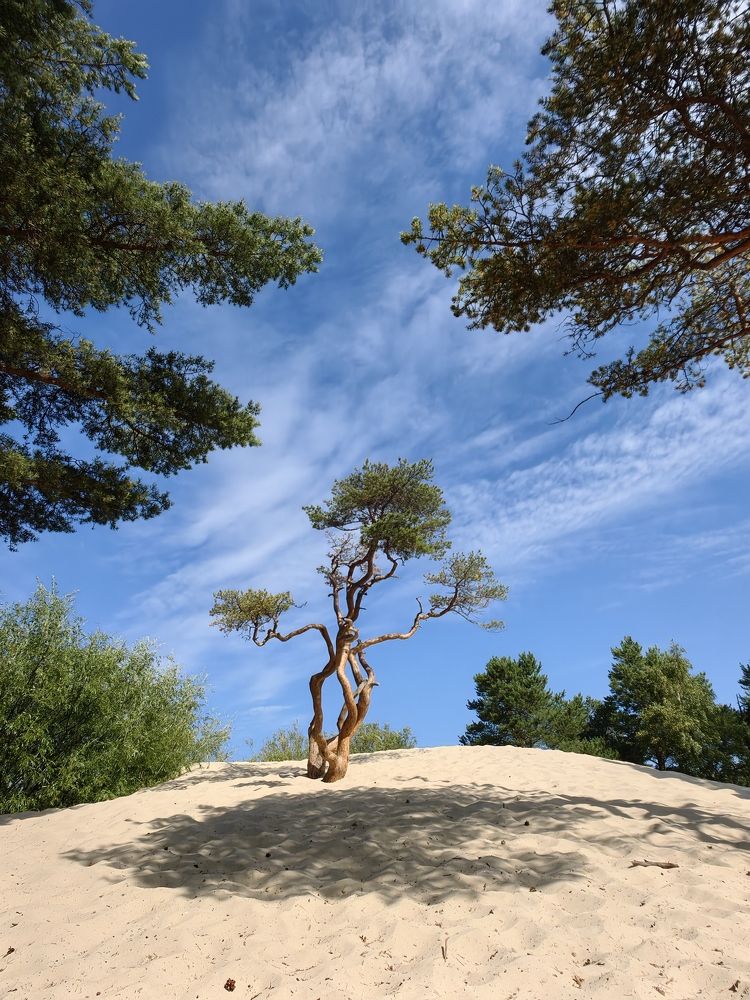 Photograph by Екатерина Исаева