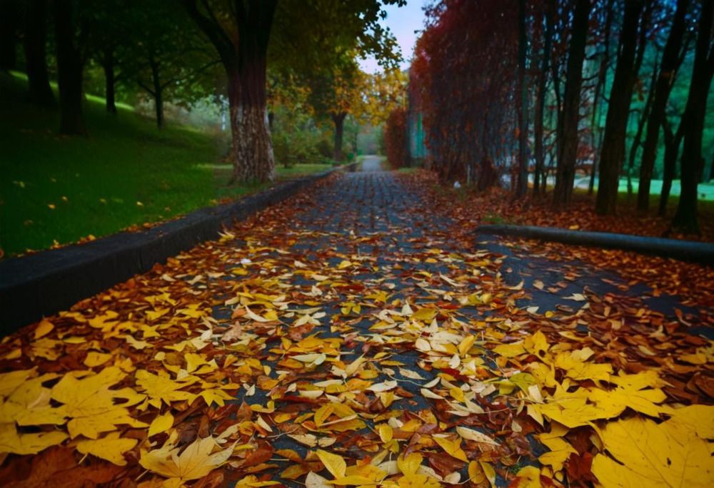 Photograph by Tatevik Tananyan