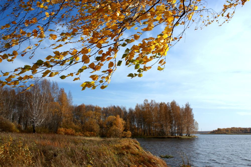 Фотография автора Nelya  Lysenko