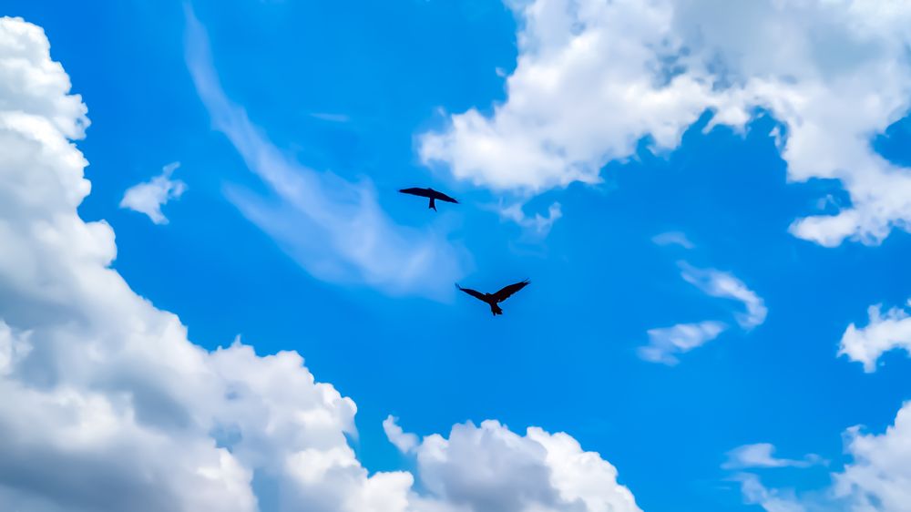 Photograph by Af Naf Shahriar