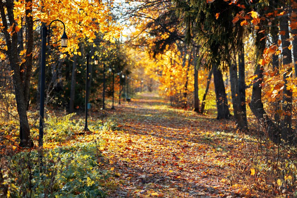 Photograph by Дмитрий Горбенко