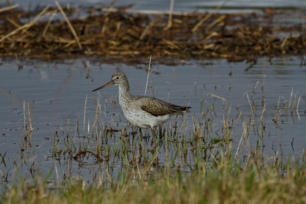 Photograph by Лена Кор