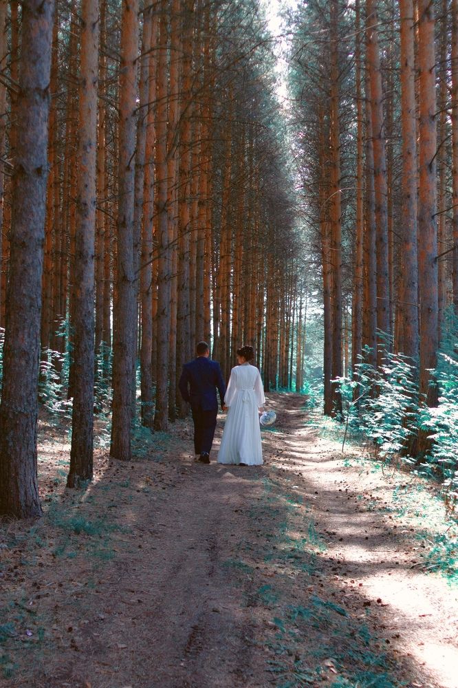 Photograph by Алёна Кибичеева