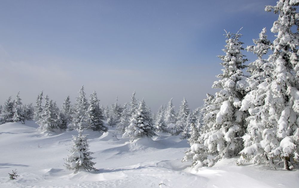 После метели