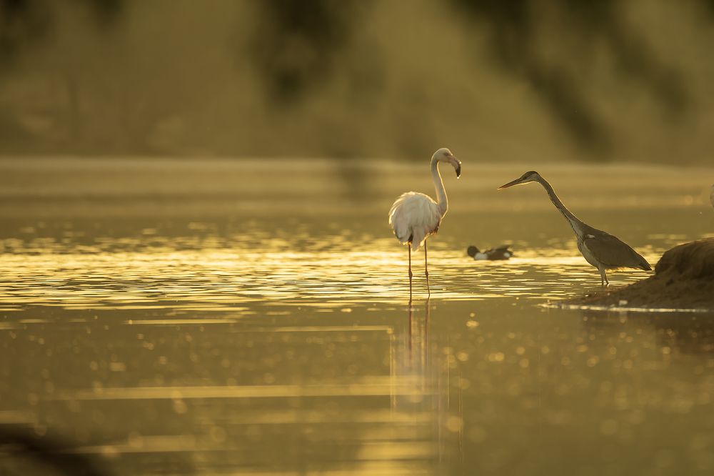 Photograph by Zubair Irshad