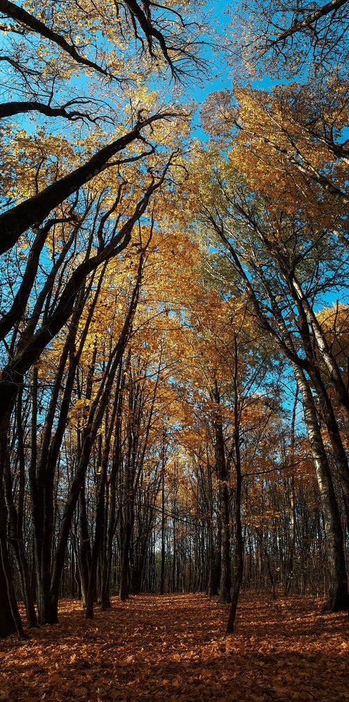 Photograph by Алиса Чугунова