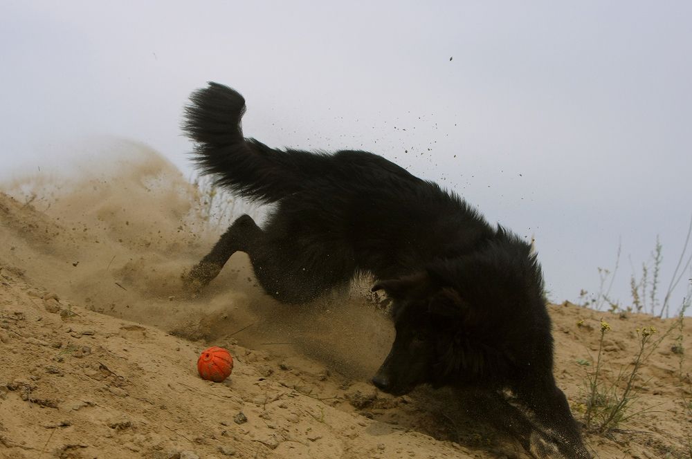 Фотография автора Надежда Лисицына
