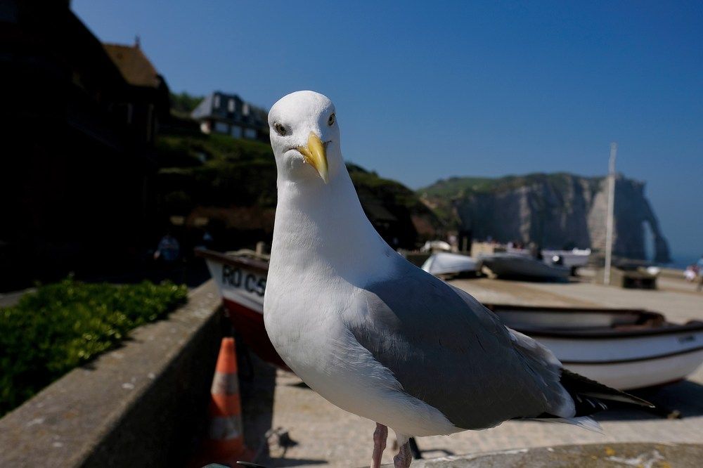 Photograph by Медведев Антон