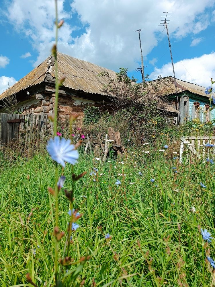 Photograph by Роза