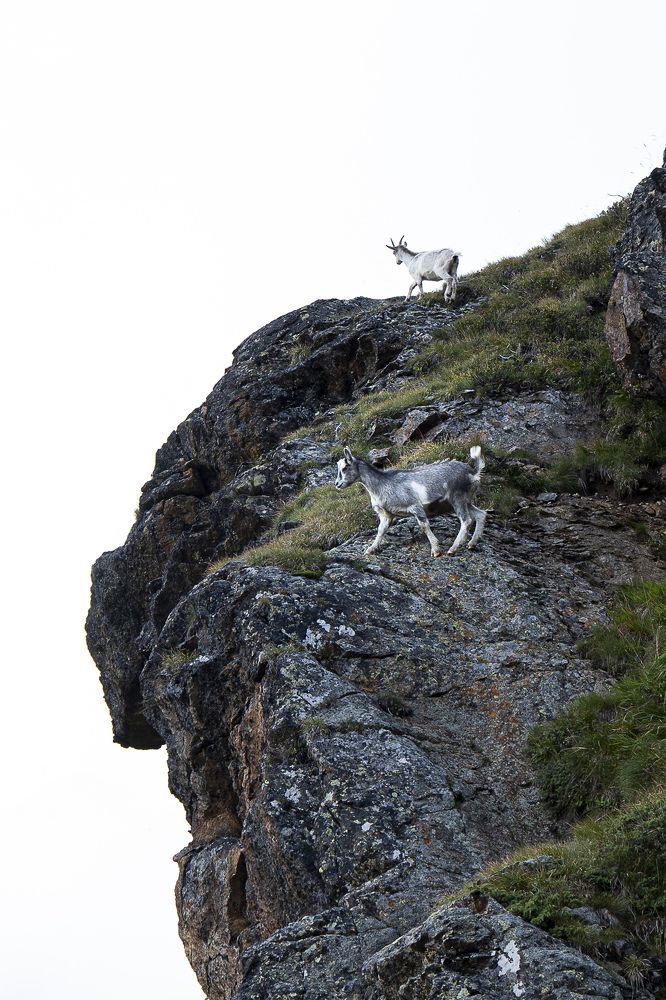 Фотография автора margherita marzari (M_i)