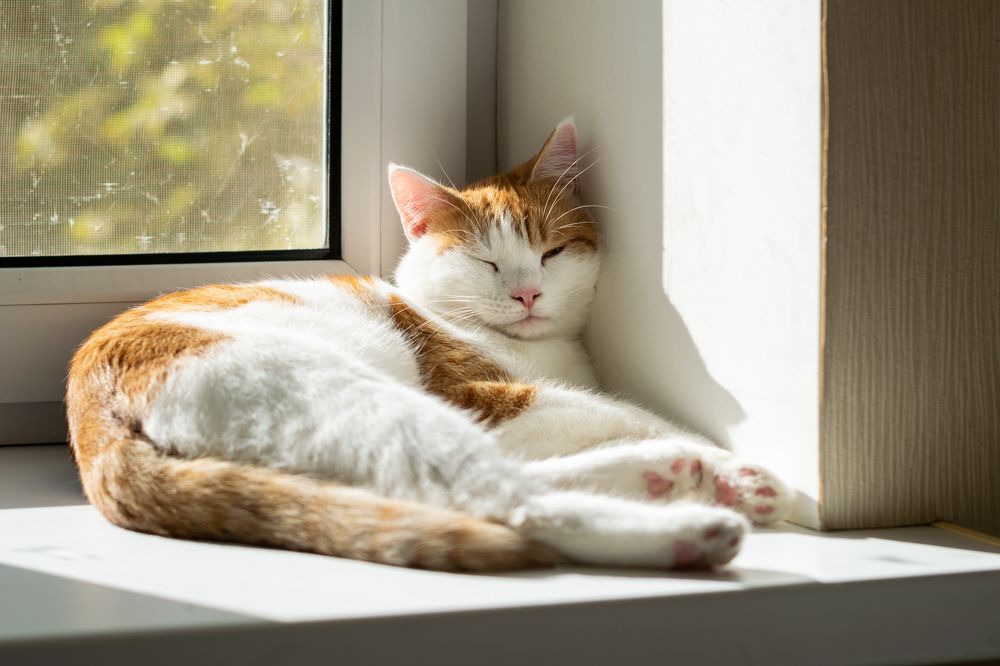 Photograph by Артём