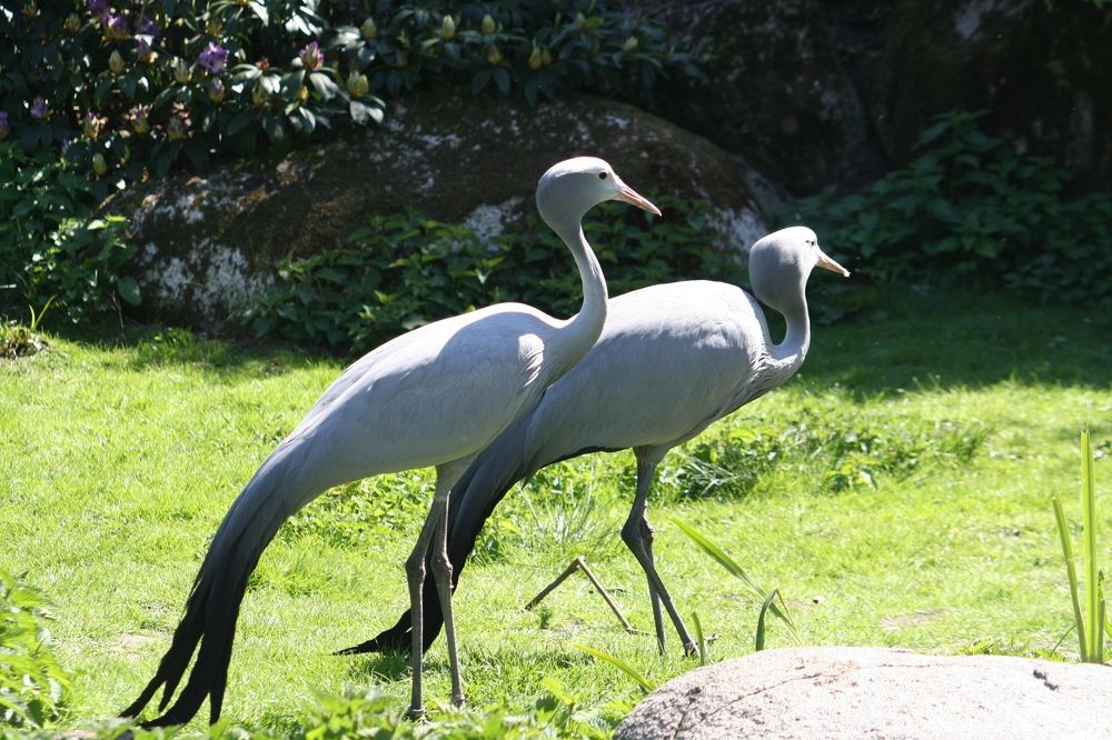 Photograph by Михаил Жарский