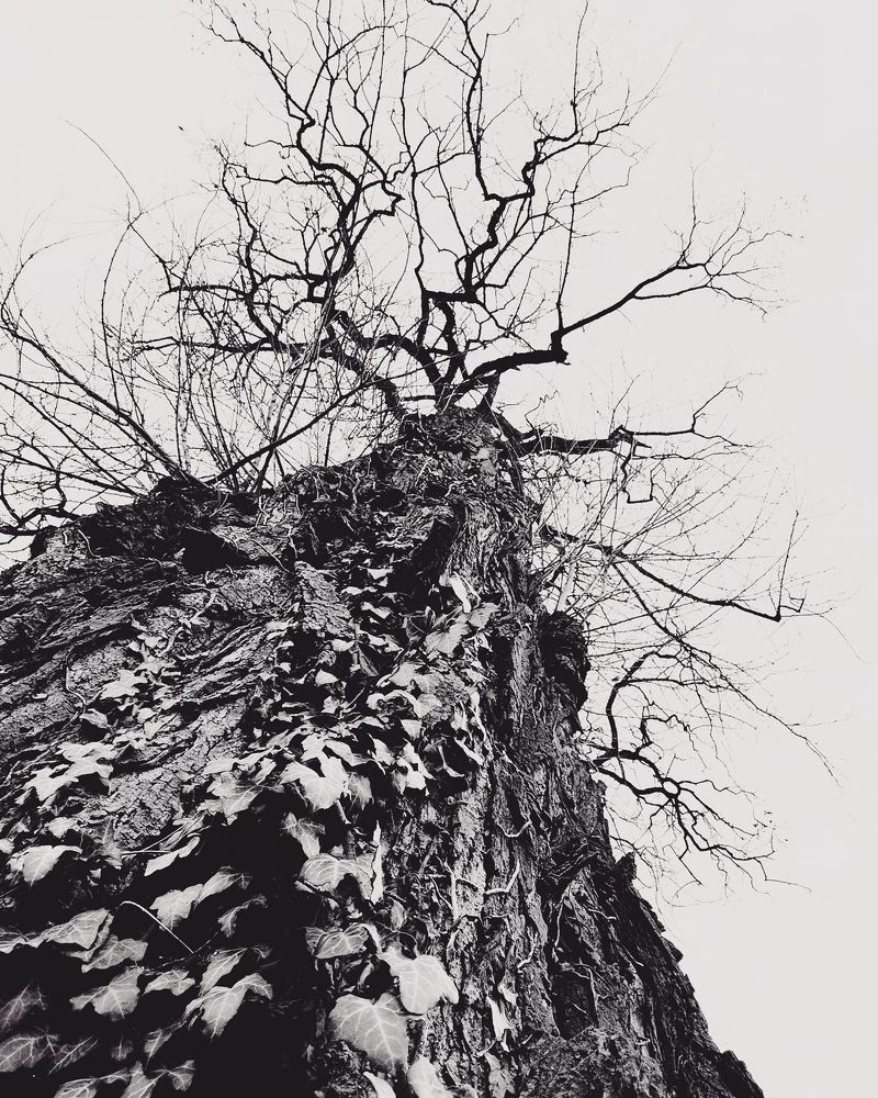 Photograph by Yana Bobrova