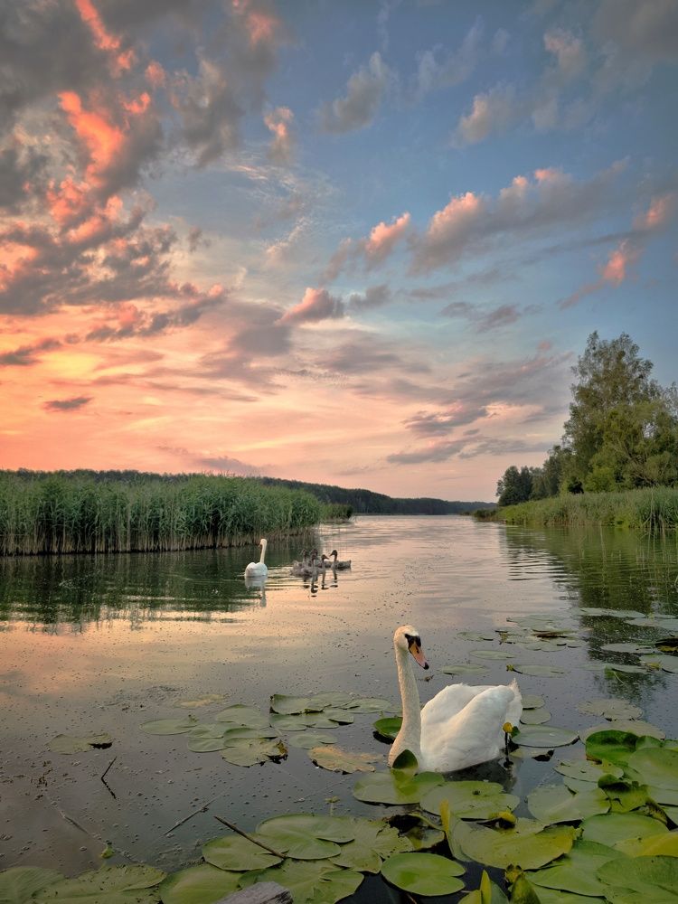 Photograph by Елена Кошелева