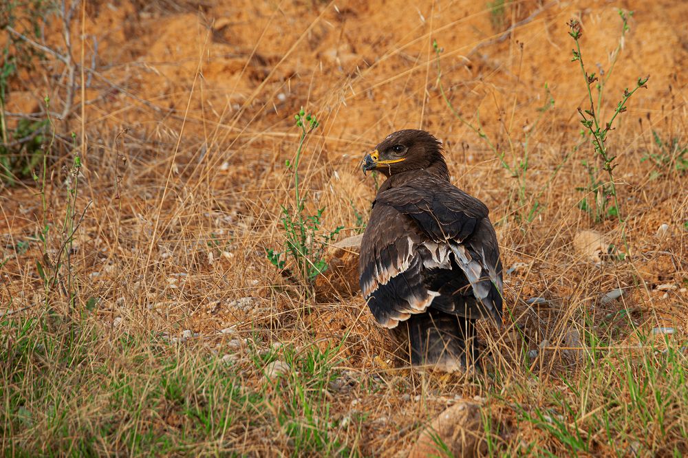 В пол оборота.