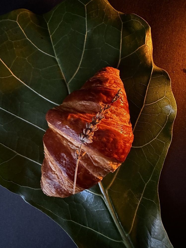 Photograph by Yana Bobrova