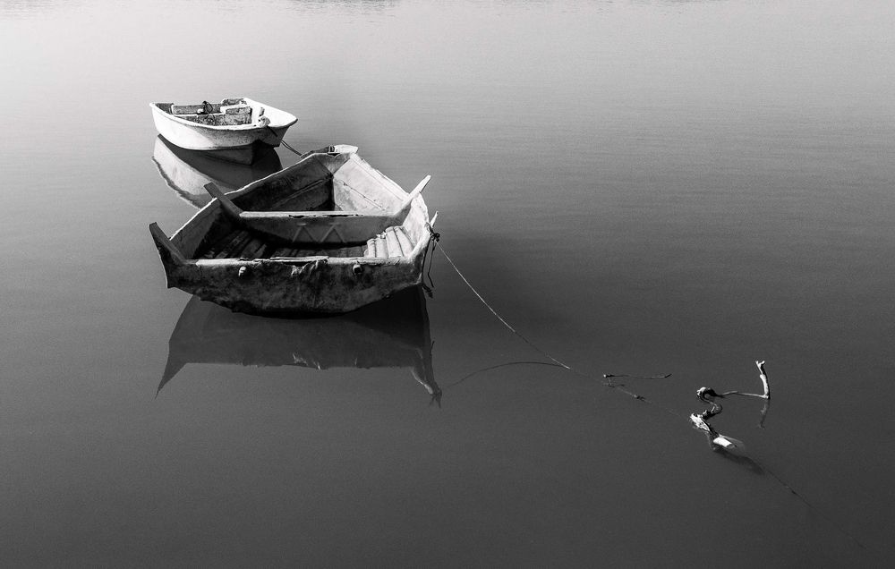 Photograph by Iman Barin