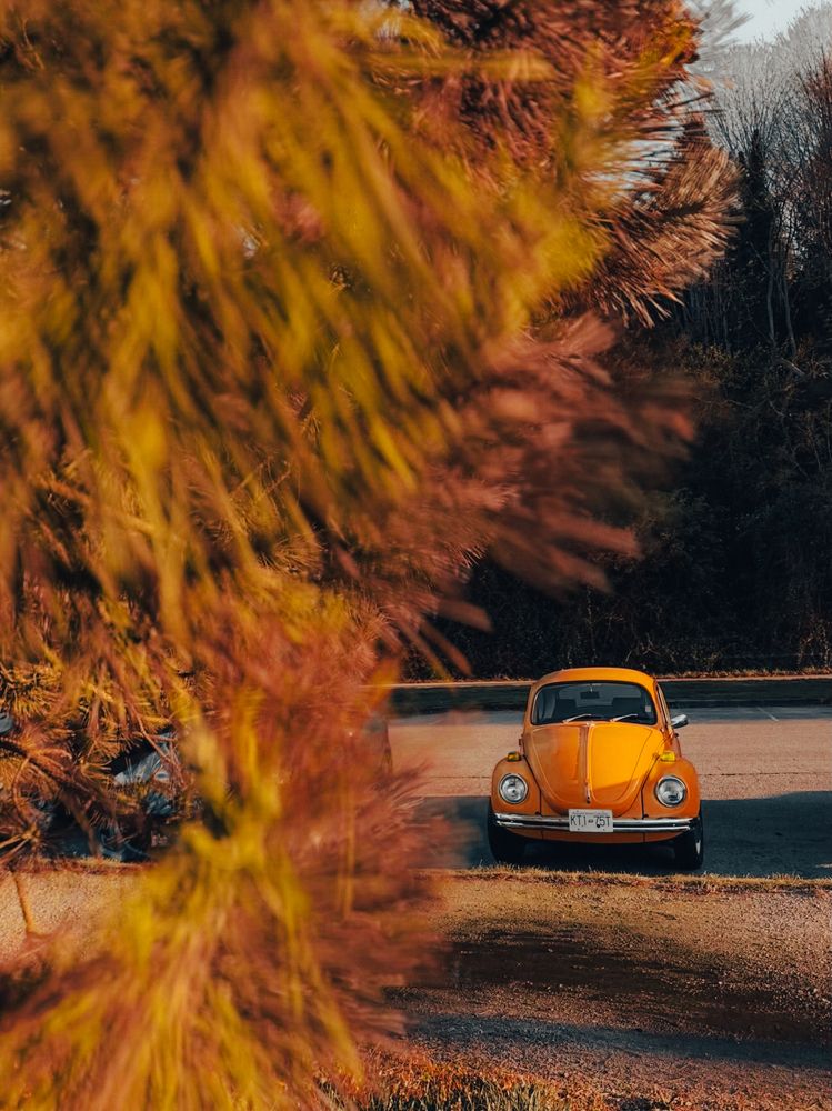 Photograph by Yana Bobrova