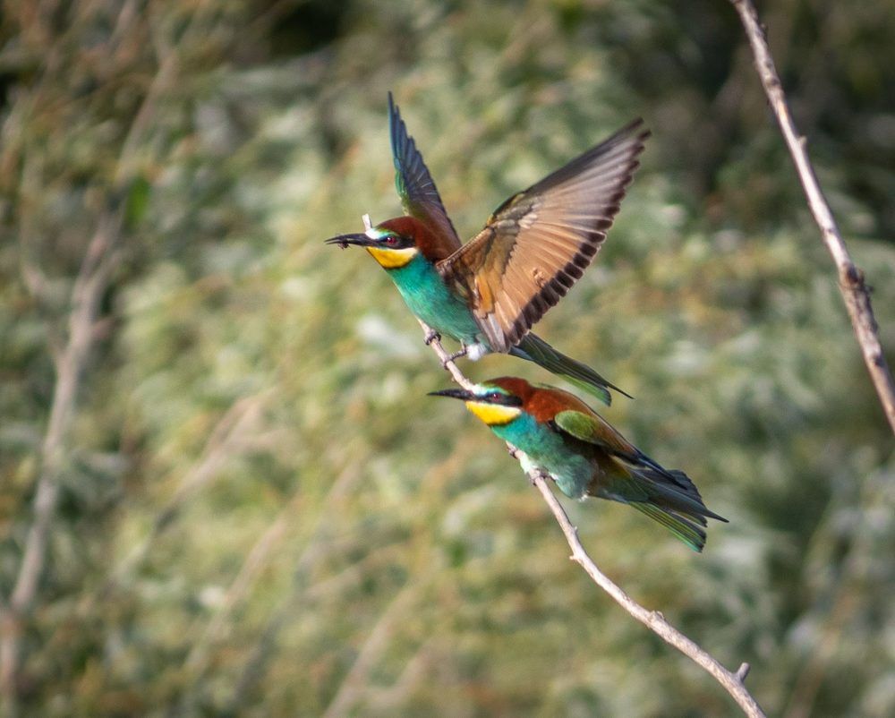 Photograph by Евгений Еськов