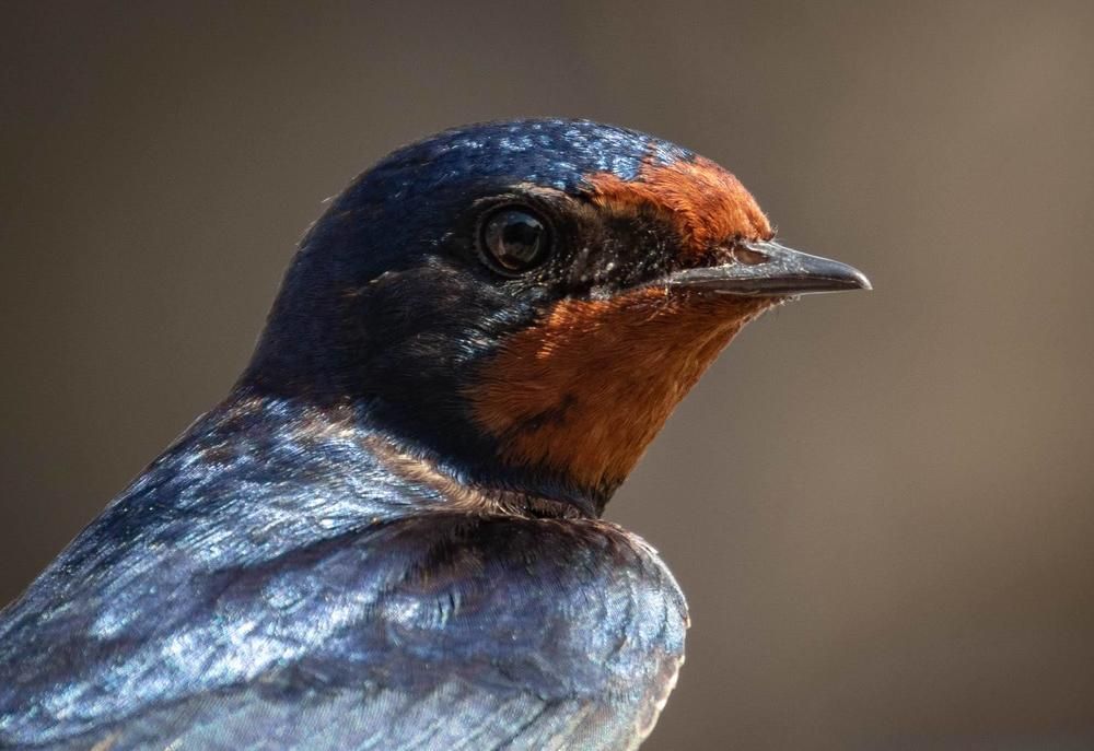 Photograph by Евгений Еськов