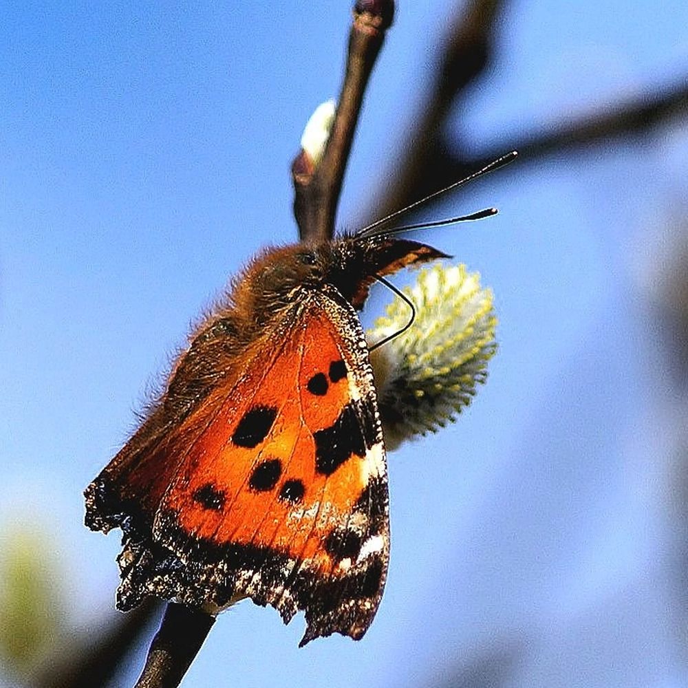 Photograph by Алексей Волков