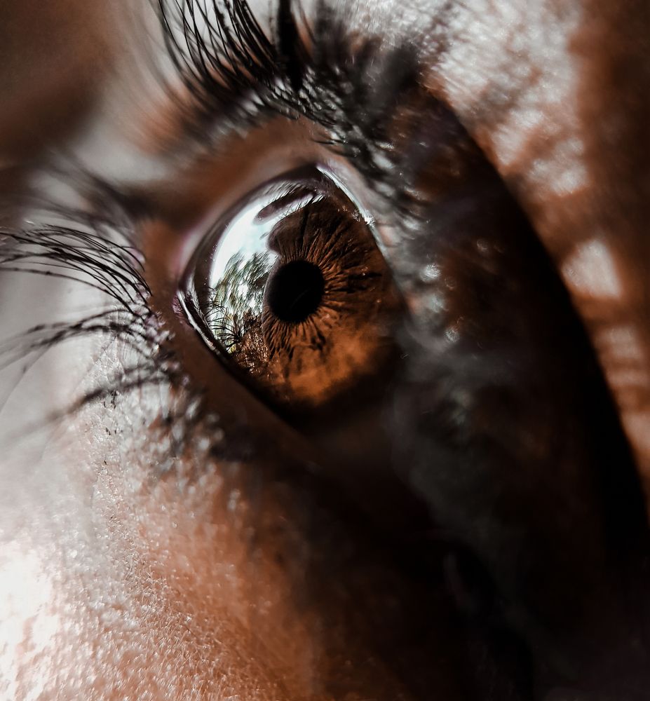 Photograph by Mahdi Reihani Bozorg